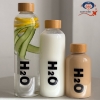 تصویر  بطری آب ۵۰۰ میل H2o